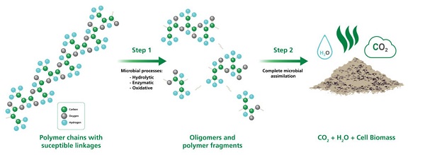 BIOPLASTICS