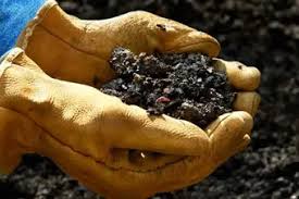 WETHOMECOMPOST