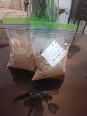 powder2