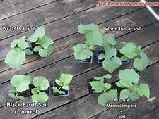 vermiplant